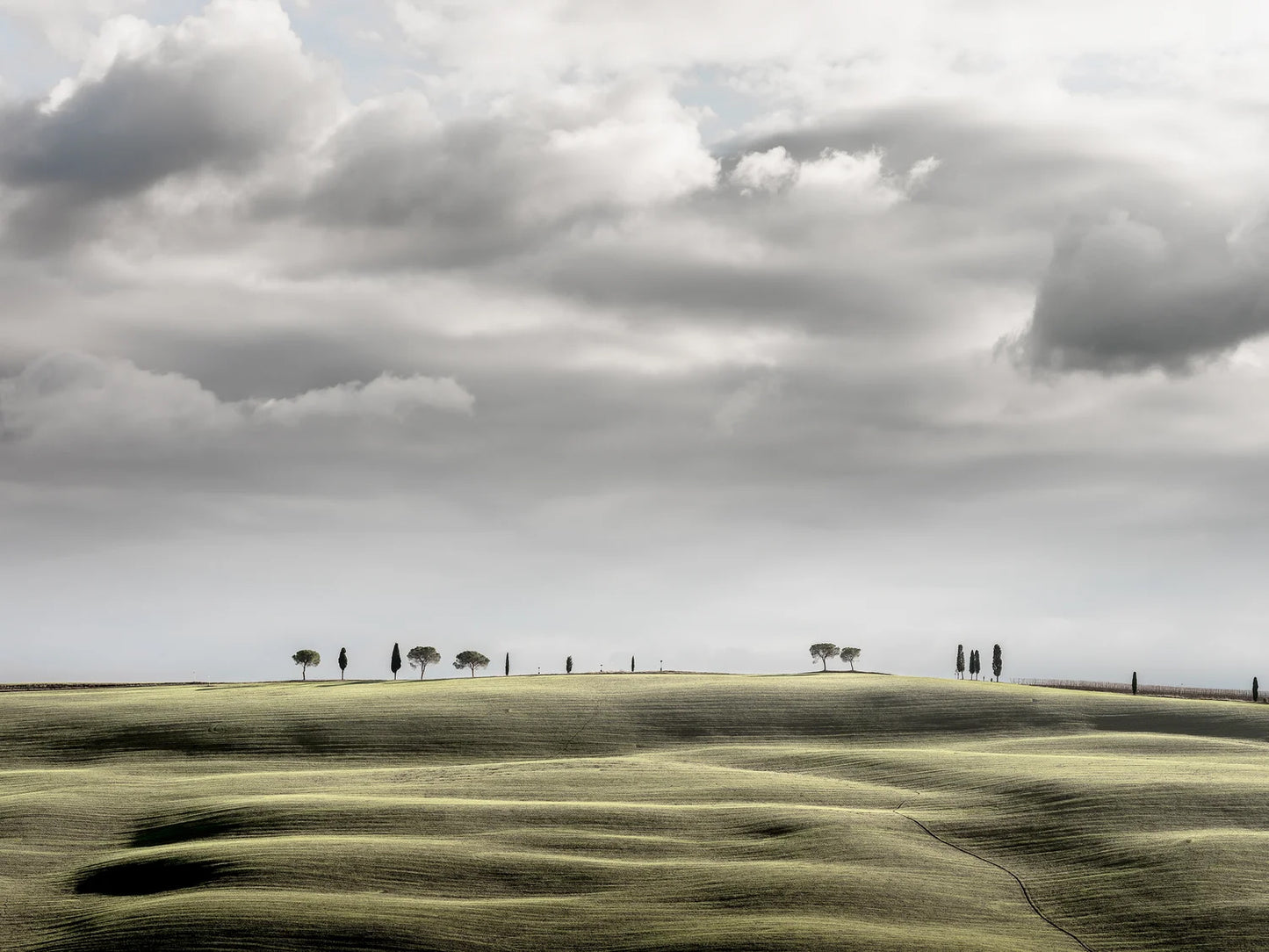 Val d’Orcia Hill Top