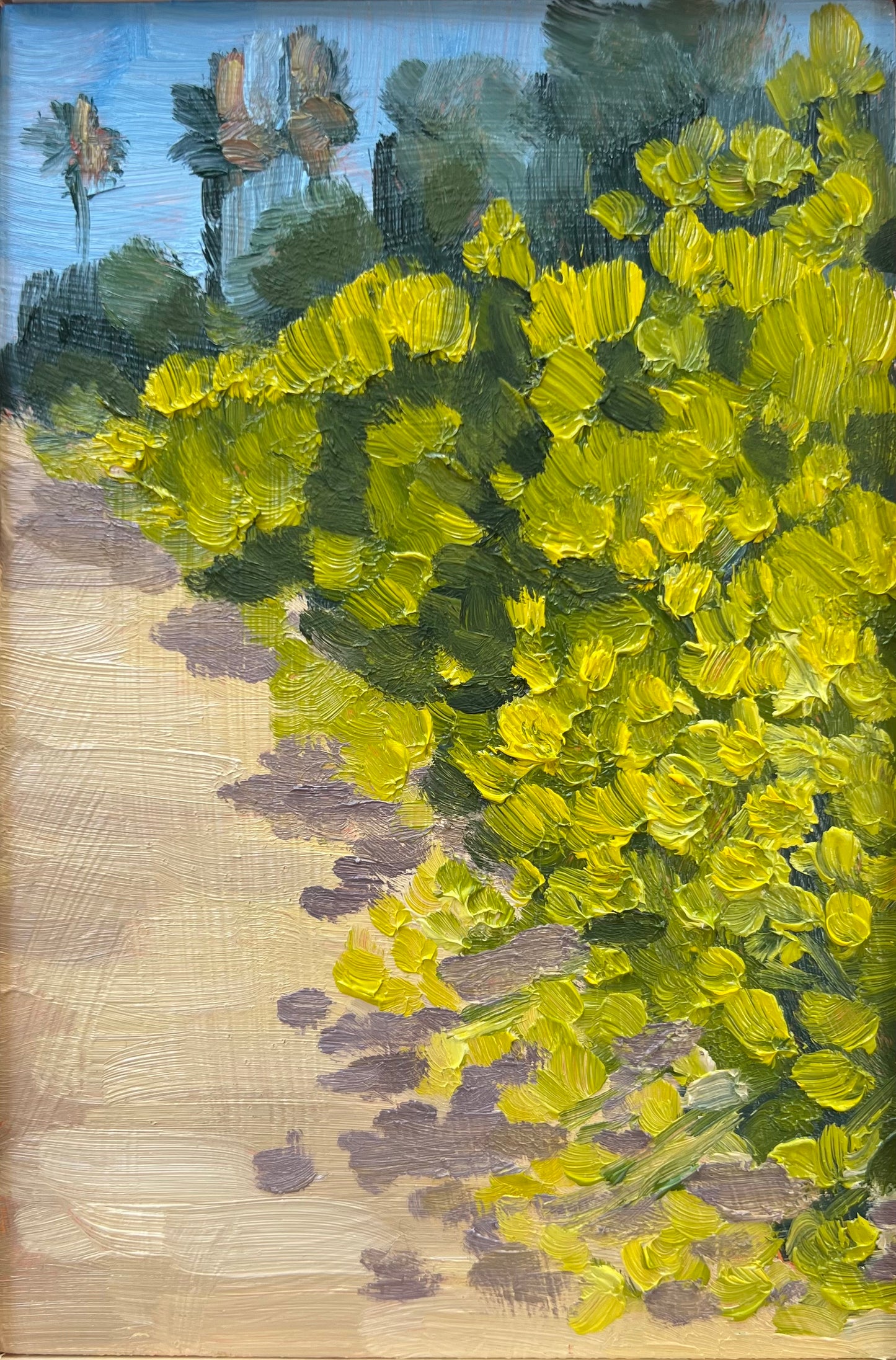 Spring Bloom