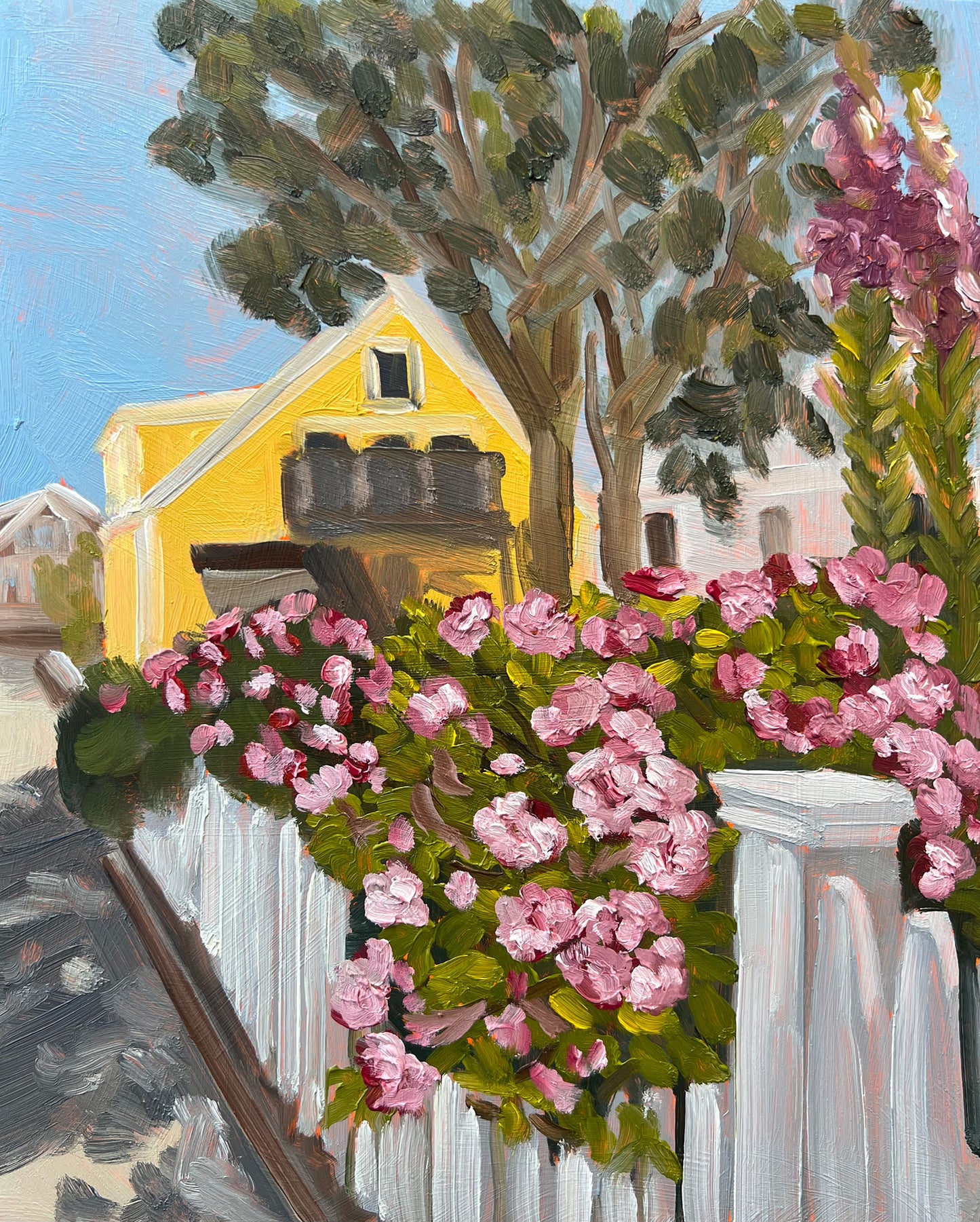 June Roses