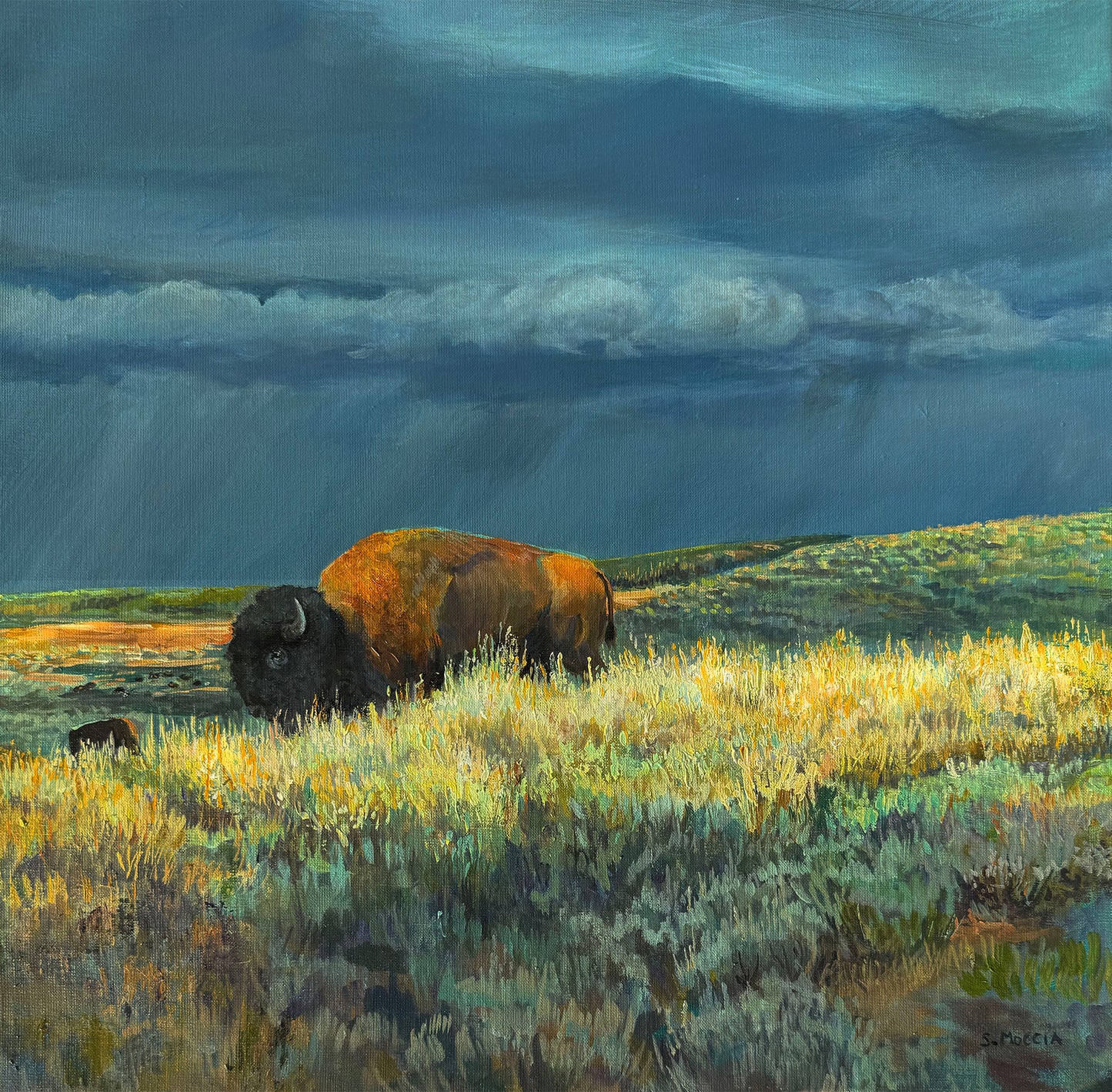 Emergence of Morning Light