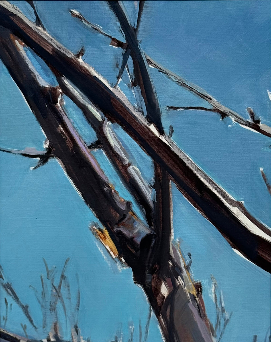 Edging into Spring