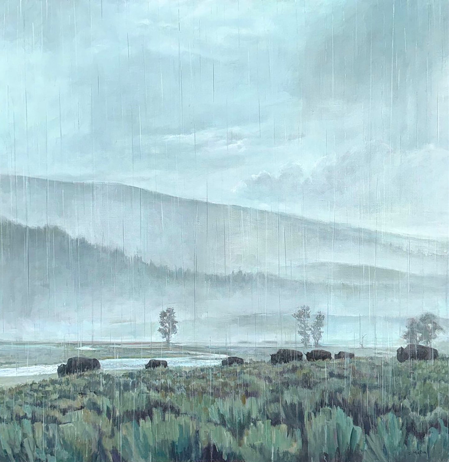 Rain
