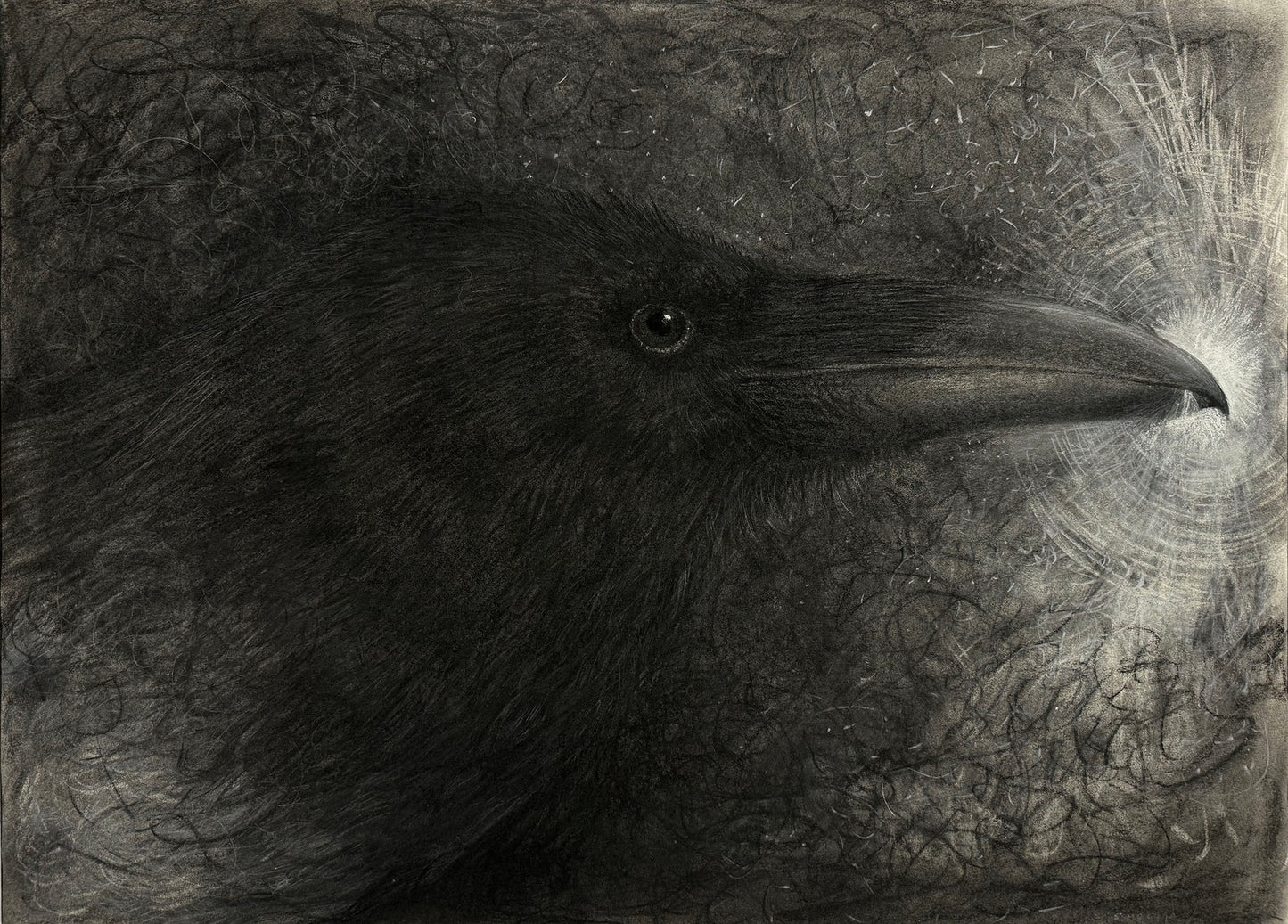A charcoal drawing of a raven's head, showing detailed feather textures and the bird's beak and eye.