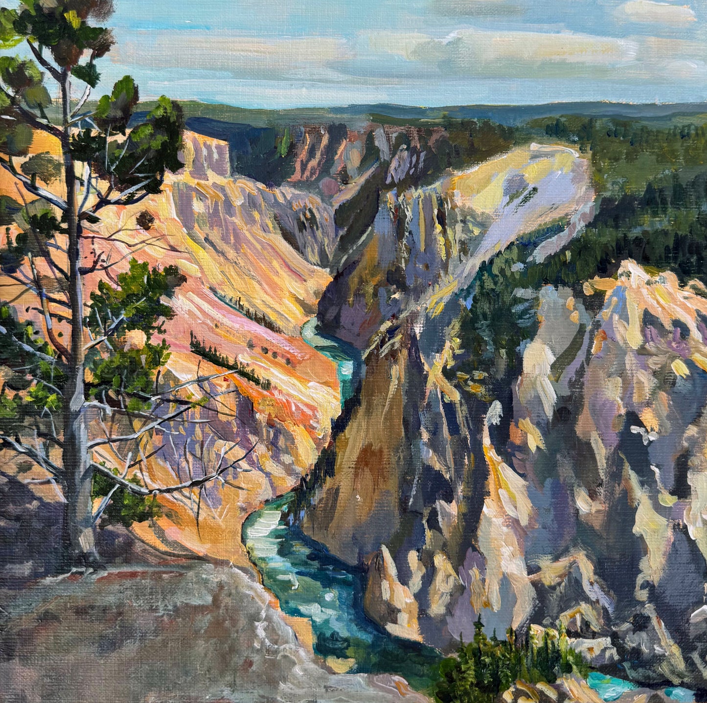 River View from the North Rim, Yellowstone Canyon