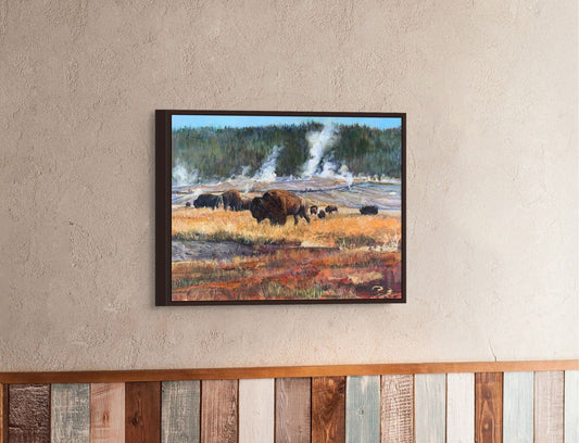 Bison at Geyser Hill