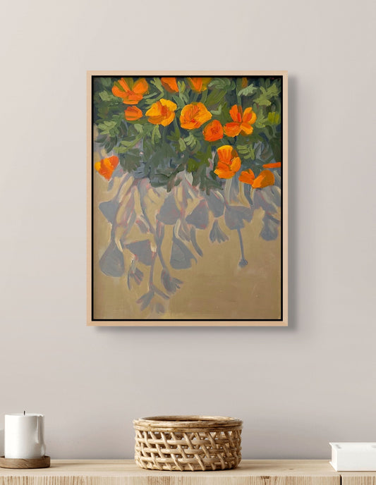 California Poppies