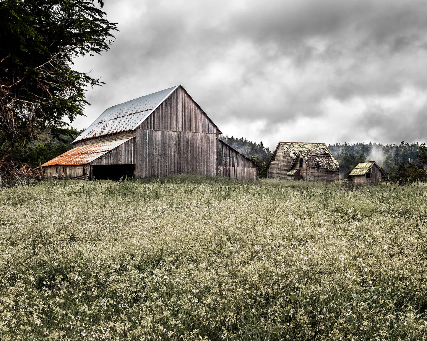 Spring Ranch Barn Study 1- Mendocino