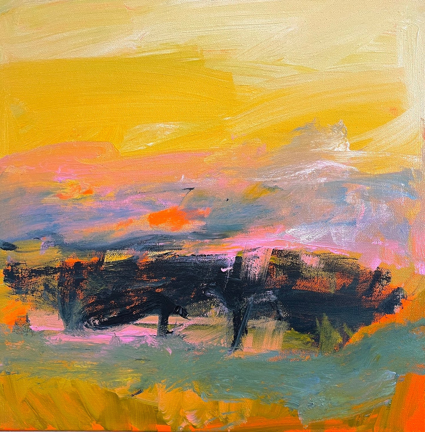 Sunset Meadow