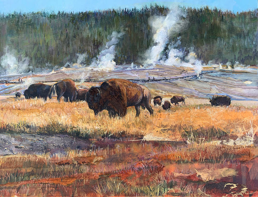 Bison at Geyser Hill