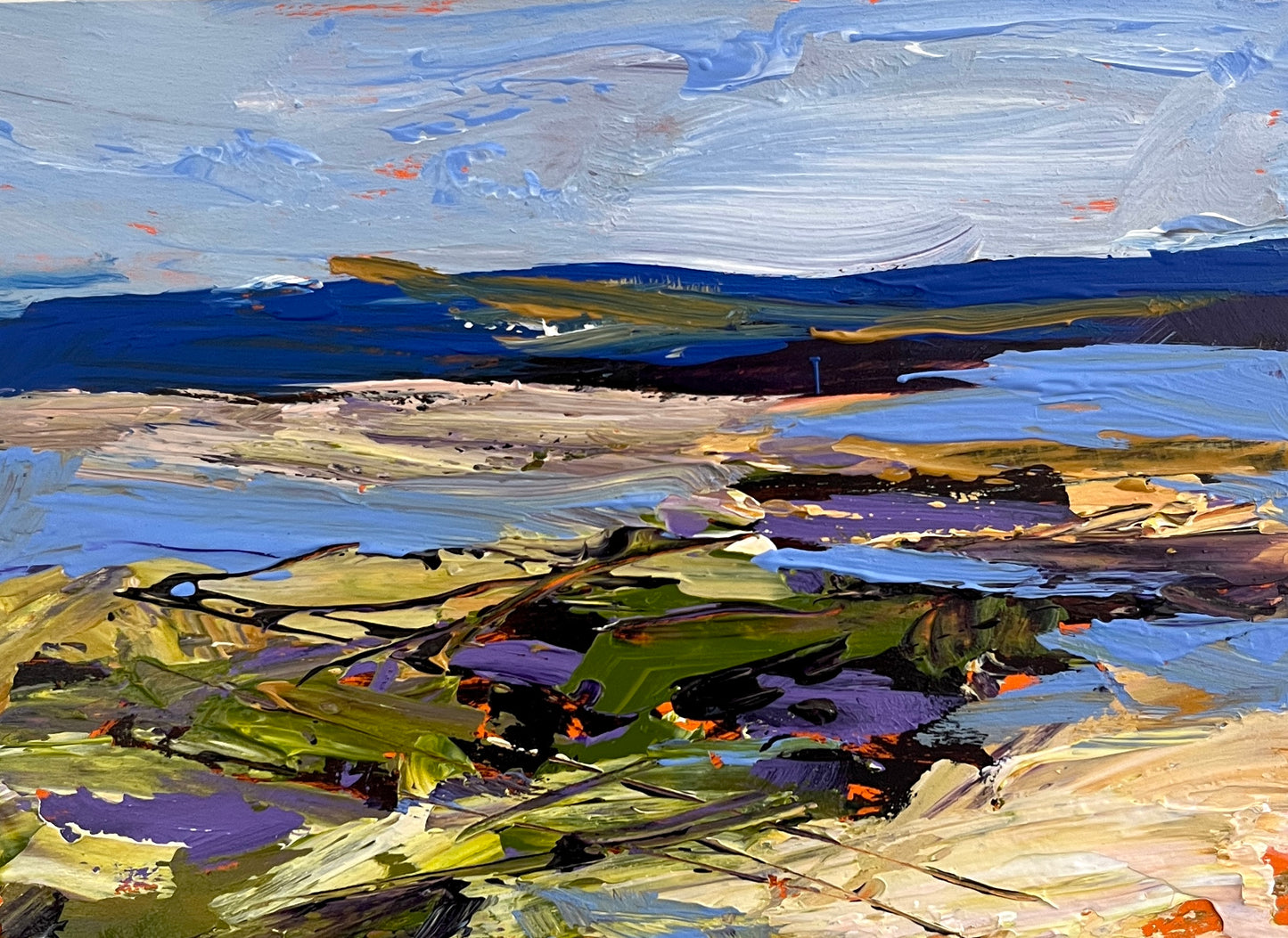 Coastal Visions No. 4