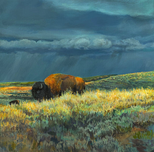 Emergence of Morning Light
