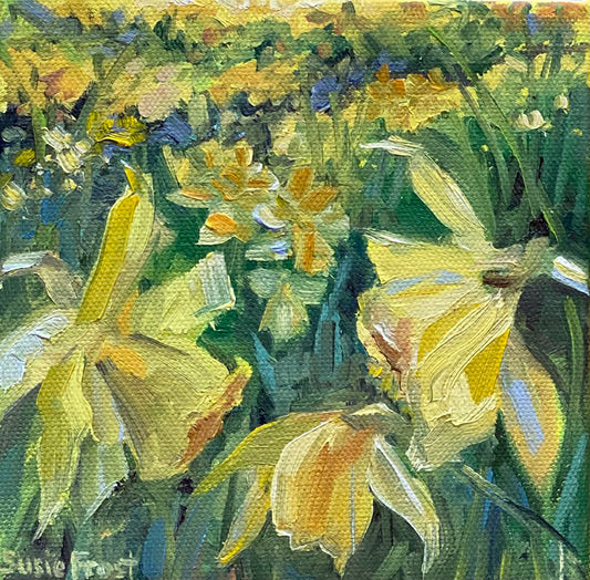 Daffodil Season