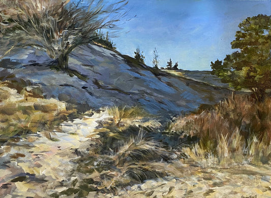 Back Trail Shadows