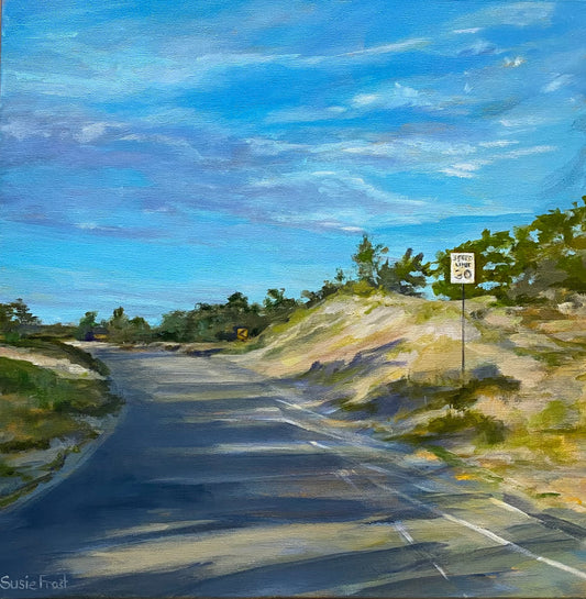 Slow Down, Enjoy the Ride