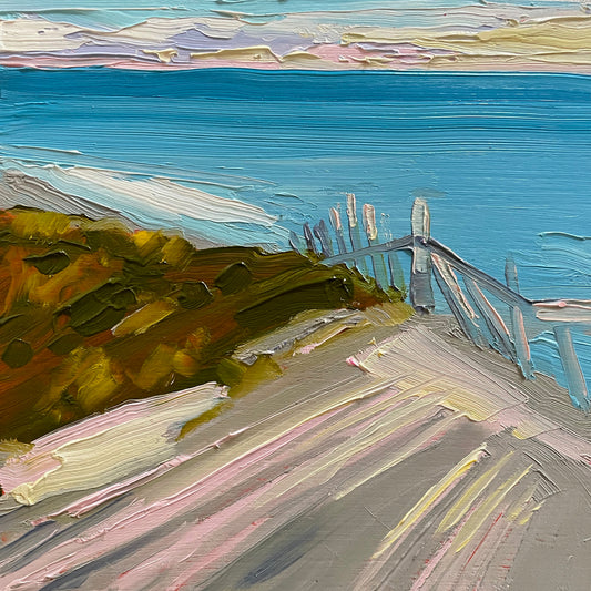 Erosion Fence No. 1