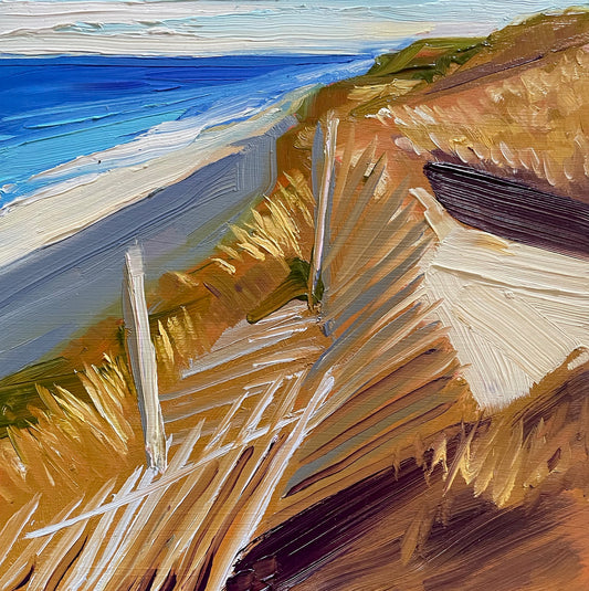 Erosion Fence No. 2