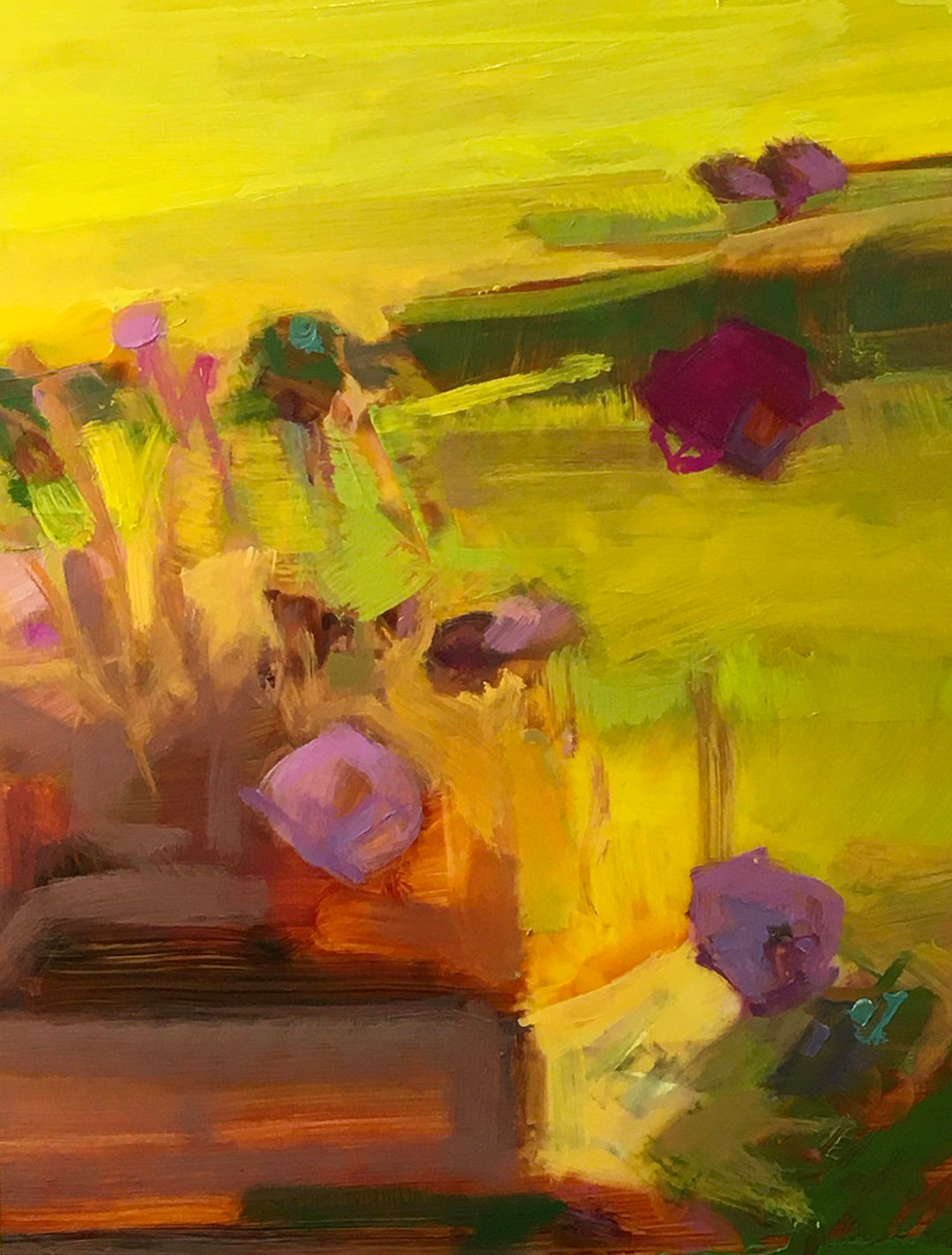 Afternoon Colors