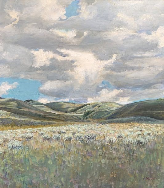 Hayden Valley