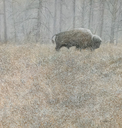 Snowstorm