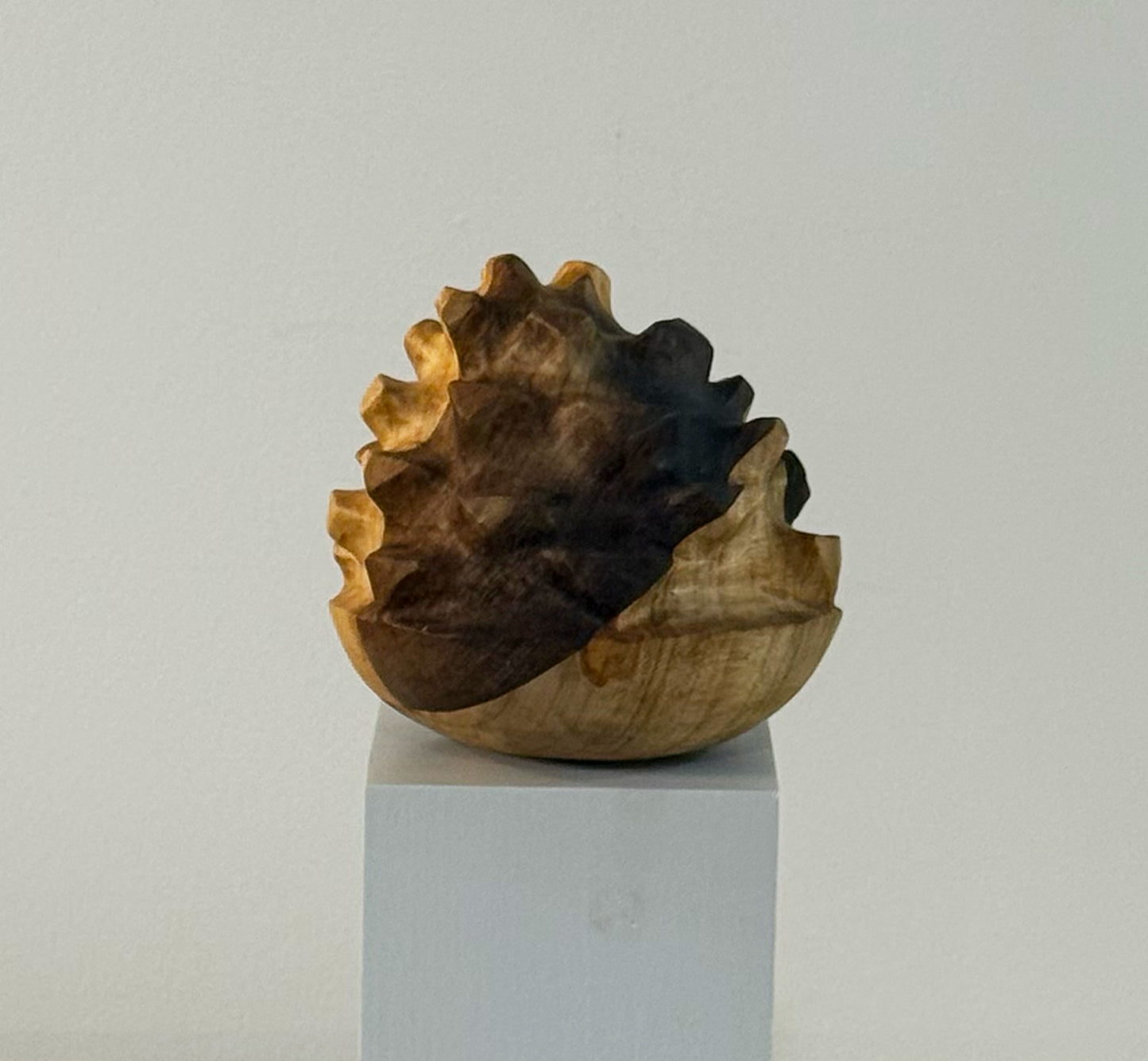 Pinecone