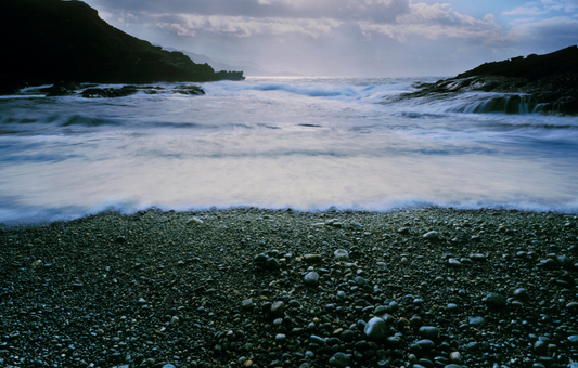 Point Lobos Morning