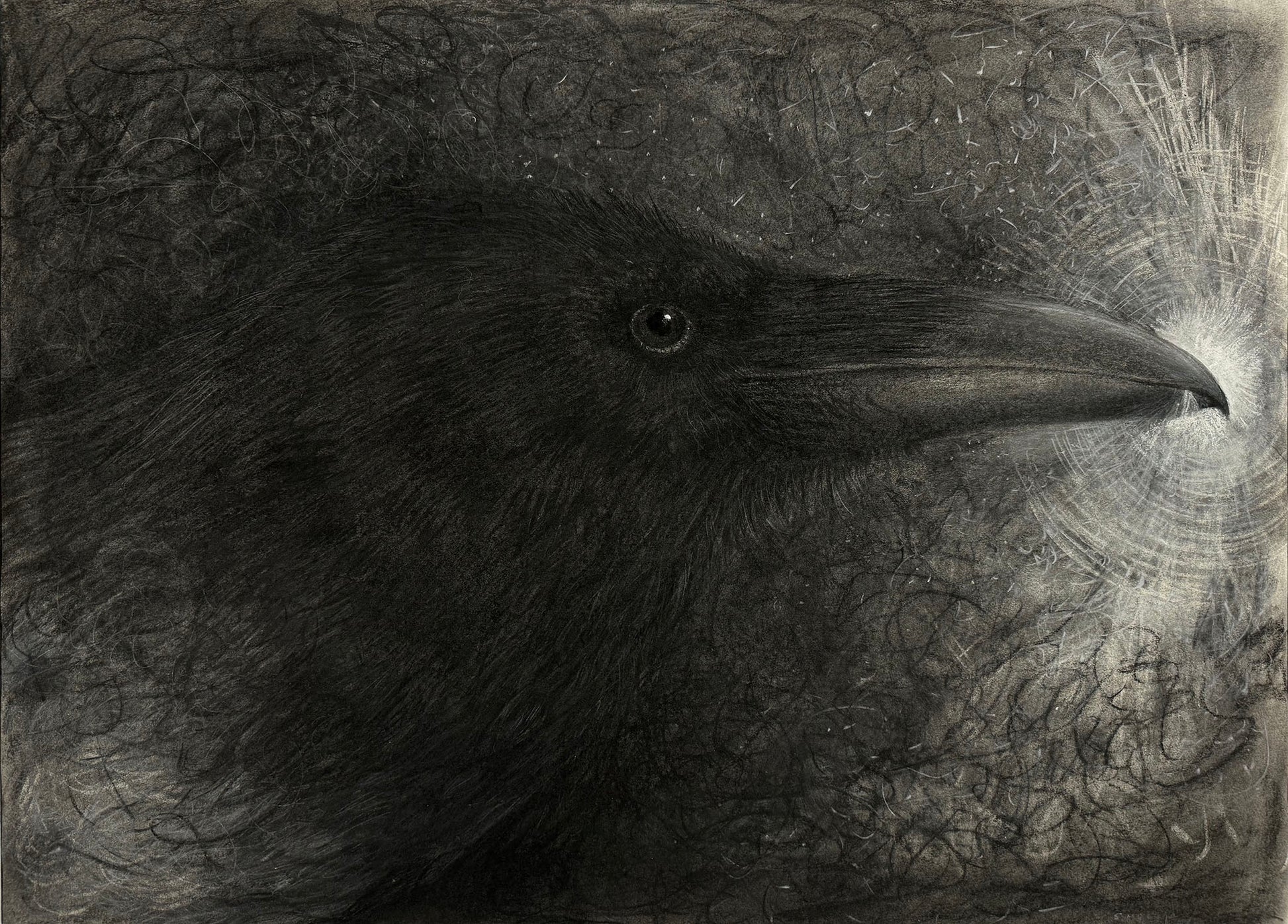 A charcoal drawing of a raven's head, showing detailed feather textures and the bird's beak and eye.