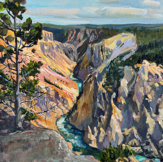 River View from the North Rim, Yellowstone Canyon