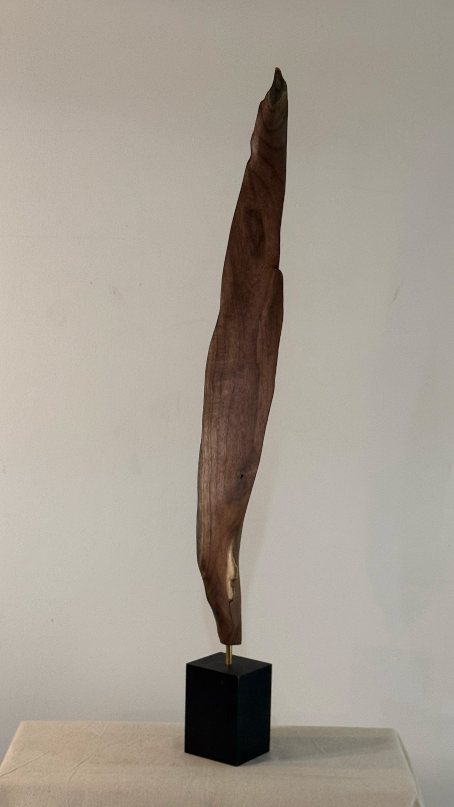 Walnut Splinter