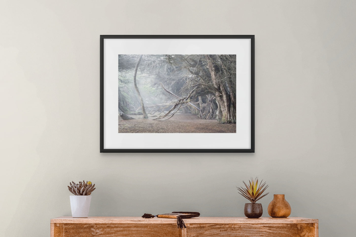 Cypress Trees in Fog Study 2 -Sea Ranch